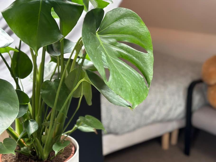Le Belly - Fontainebleau Apartment Luaran gambar